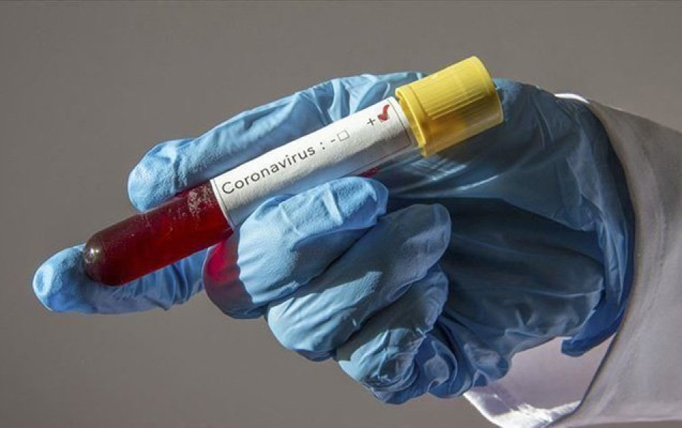 Virusdan xilas yolu tapılır – Azərbaycanlı həkim yeni elmi nəticəni şərh edir