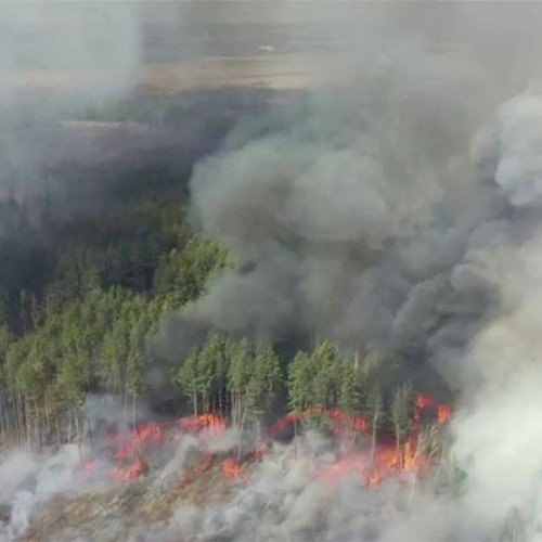 Ukraynanın Çernobıl bölgəsində meşə yanğınları yenidən başlayıb