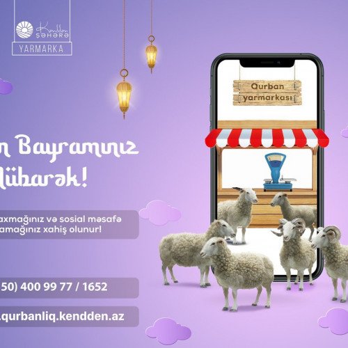 Qurban bayramı üçün qoyun almaq istəyənlərin nəzərinə!