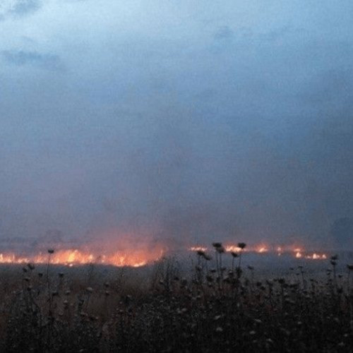 Ermənilər işğal etdikləri torpaqlarımızda yenə yanğınlar törədiblər